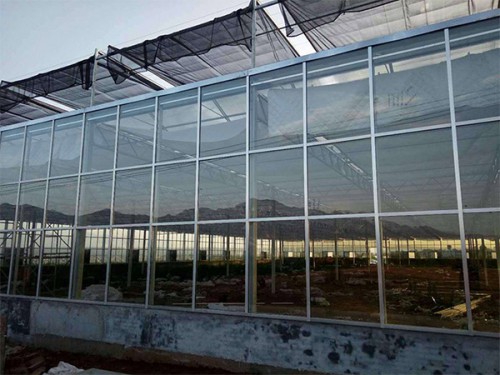紋絡(luò)溫室